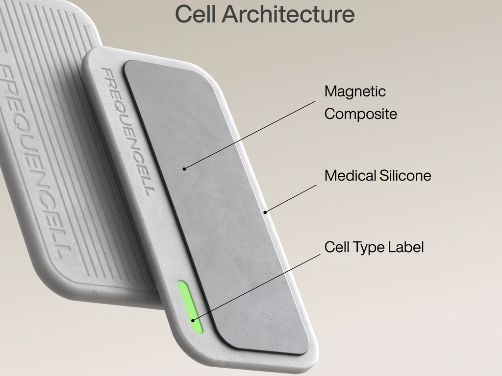 ImmunCell